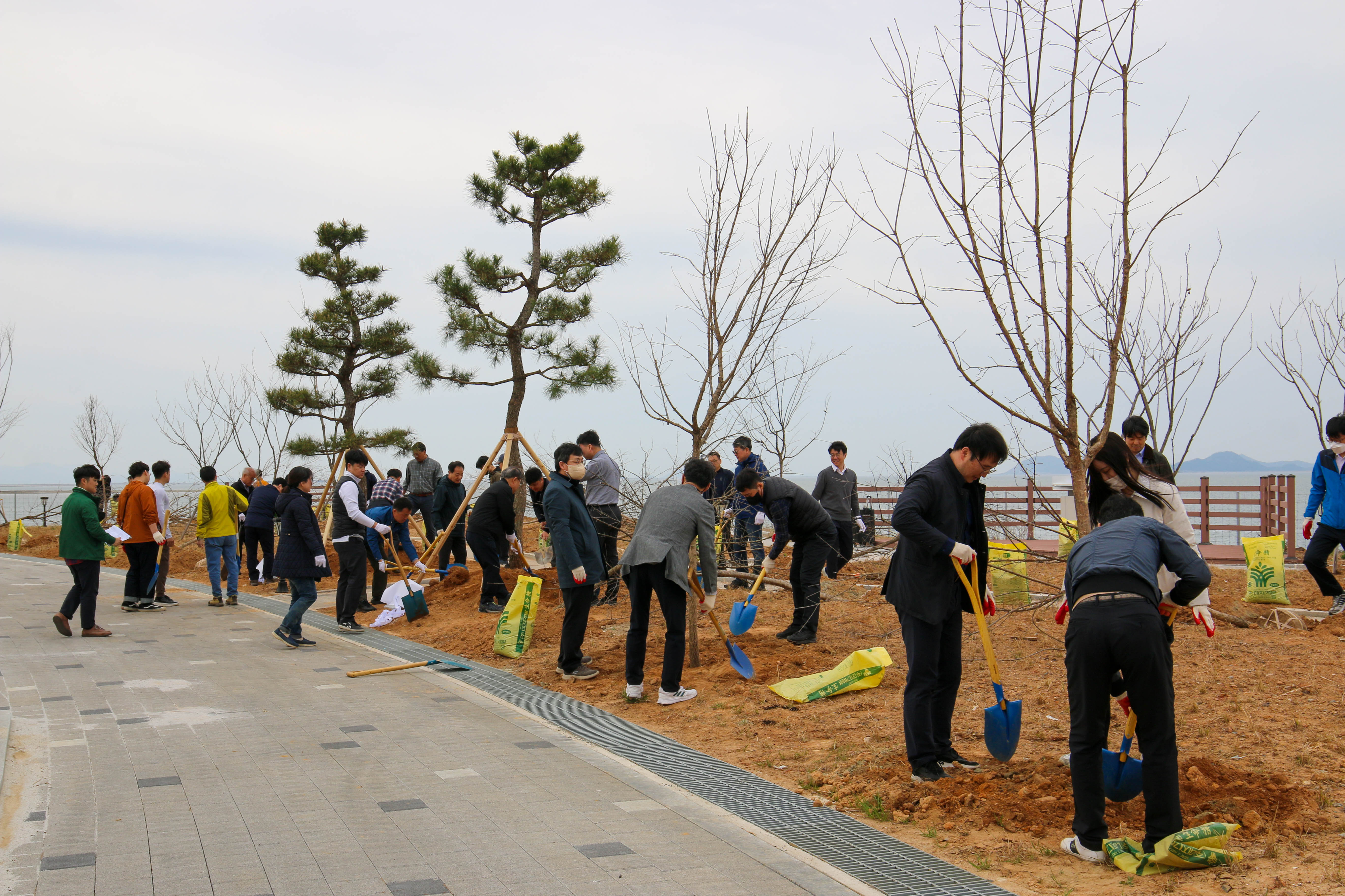 230404 제78회 식목일 기념 새만금 나무심기 (8)